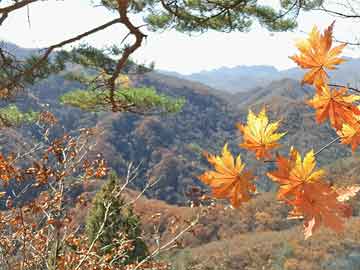 城市宣传广告案例探析，从案例分析到策略构建